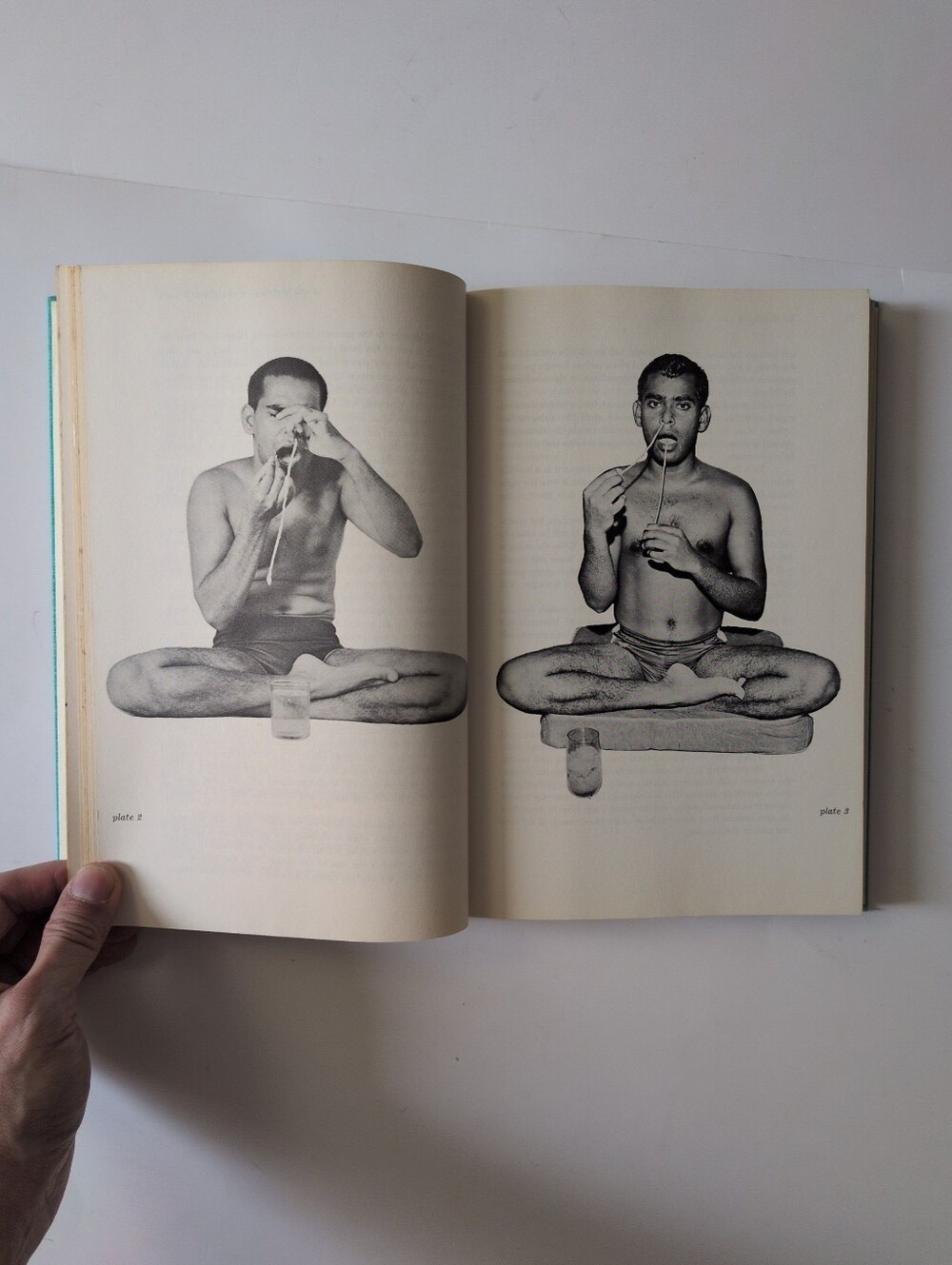 The Complete Illustrated Book of Yoga - Swami Vishnudevananda - 1960 - Picture 12 of 16